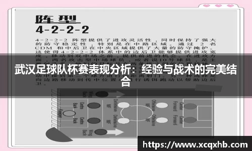 武汉足球队杯赛表现分析：经验与战术的完美结合